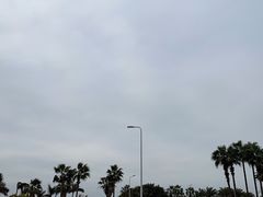 -椰风寨