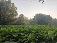 -大连海事大学-游泳馆