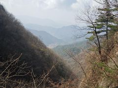 -王顺山国家森林公园
