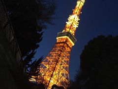 -东京塔海贼王主题公园