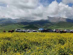 -青海湖国家重点风景名胜区