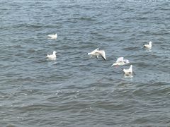 -兴城海滨风景区