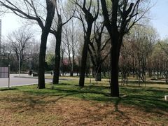 -哈尔滨文化公园