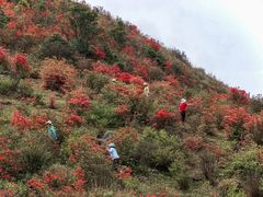 -广东天露山旅游度假区