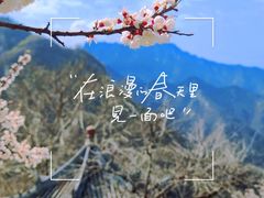 -秦岭终南山世界地质公园翠华山景区