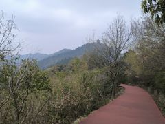 -敬亭山风景名胜区