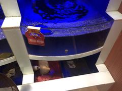 -七欣天香辣蟹火锅(无锡金太湖国际城店)