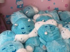 -盒马X会员店(上海森兰商都店)