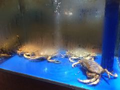 -梓程海鲜大酒家