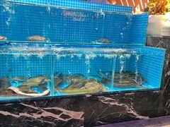 -山海•蒸汽活海鲜自助(皇庭广场店)