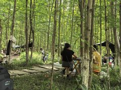 -桤木河湿地公园