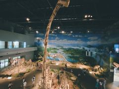 -自贡恐龙博物馆