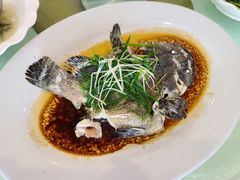 -喜相逢海鲜美食城(五邑平价农副产品批发市场店)