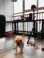 -MOKA SALON