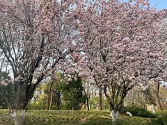 -元大都城垣遗址公园