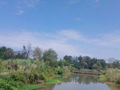 -桤木河湿地公园