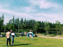 -前小桔亲子创意农场·草莓采摘·露营烧烤