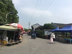 -塘栖枇杷特色园区