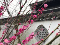 -雨花胜境