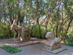 -紫金山山顶公园