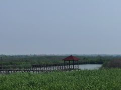 -碧海金沙