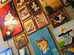 -猫咪博物馆(顶澳仔猫街店)