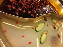 -杨家火锅(国美店)