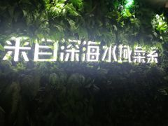 -梓程海鲜大酒家