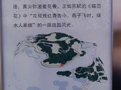 -翠湖国家城市湿地公园