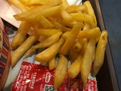 -上海海洋水族馆