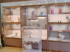 -翊宠yipet猫狗购宠庄园犬舍•猫舍