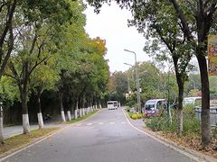 -武汉园博园(武汉自然博物馆)
