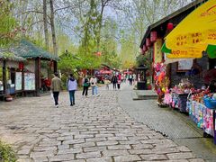 -合肥滨湖国家森林公园