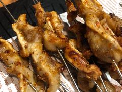 -鼎原力量东北吊炉烧烤(临河街店)