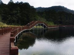 -海南热带雨林国家公园吊罗山景区