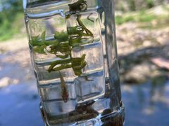 -北仑森林植物园