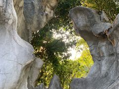 -龙头寺公园