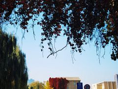 -辽宁大学(崇山校区)