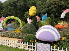 -上海共青森林公园