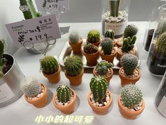 -爱欢洗ifunwash(北辰店)
