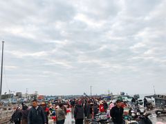 -硇洲岛旅游区