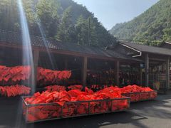 -藏龙百瀑漂流