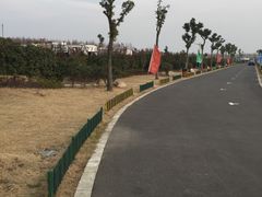 -明珠湖天鹅苑·农家菜馆