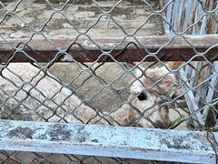 -意大利农场度假村