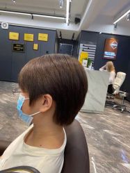 -藤野造型