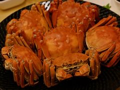 -王宝和酒家(黄浦店)