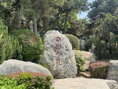 -中国唐苑