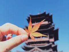 -杭州半山国家森林公园