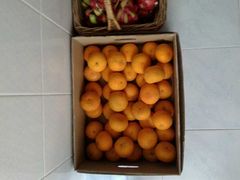 -上海龙吴水胜海发市场