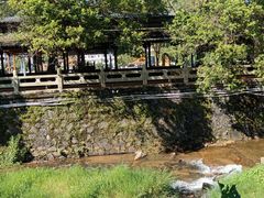 -红山村